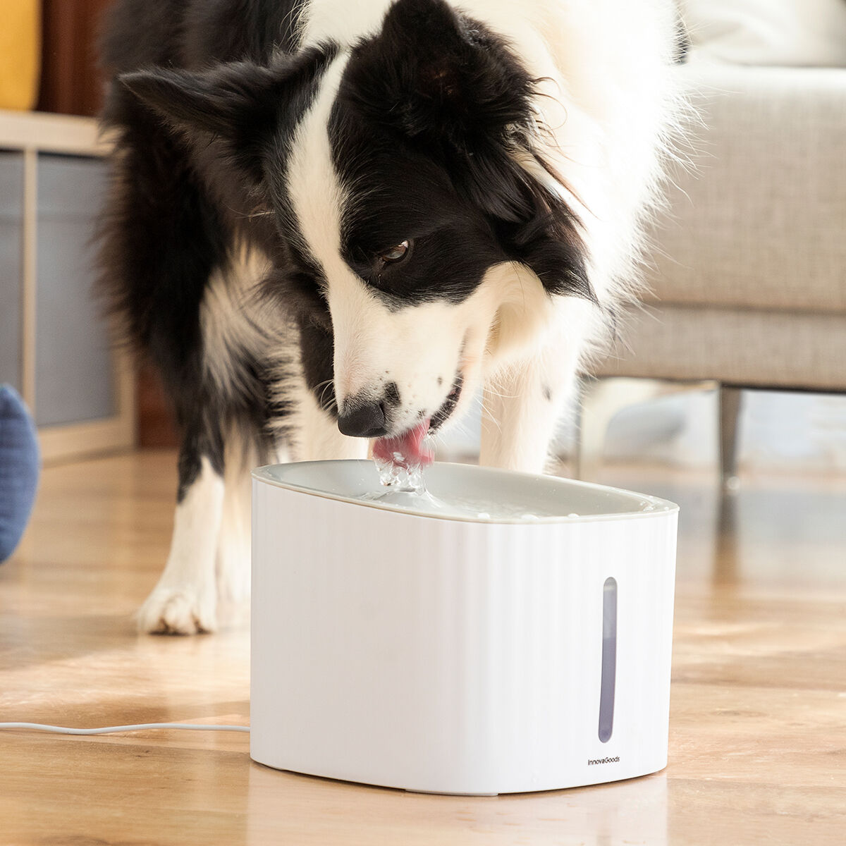 Innovagoods Pet Water Fountain Drinkatt Innovagoods