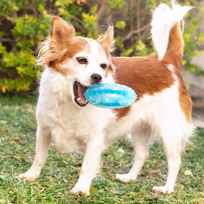 Innovagoods 2-In-1 Freezable Pet Chew Toy Glubiz Innovagoods