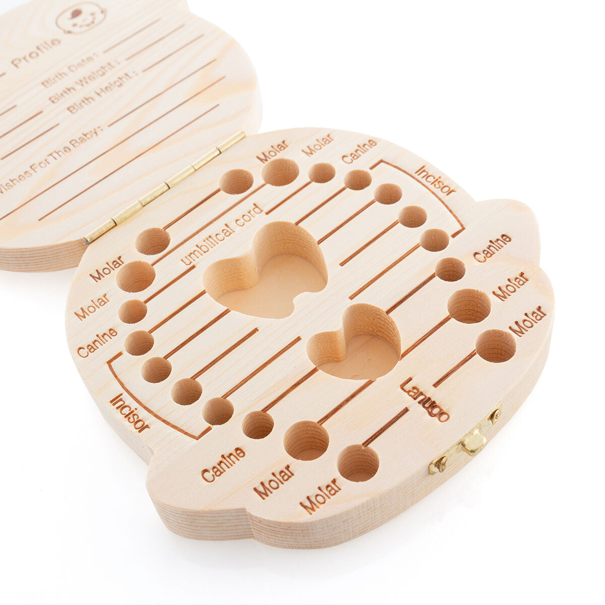 Innovagoods Tooth Box Thooy Innovagoods