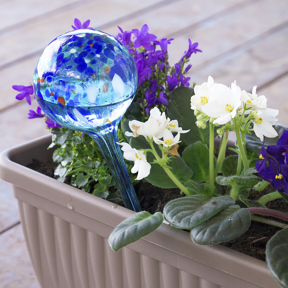 Innovagoods Automatic Watering Globes Aqua·loon Innovagoods 2 Units
