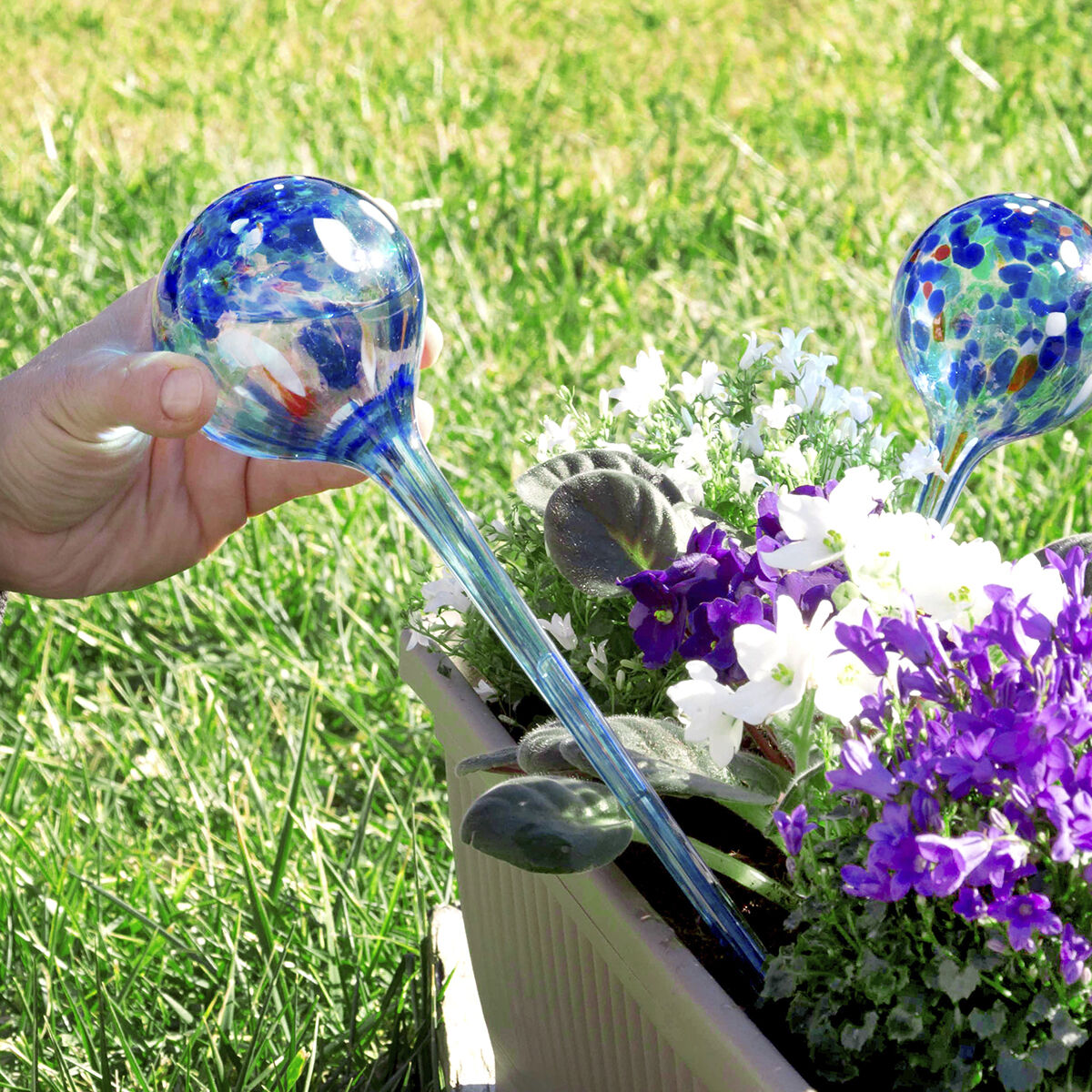Innovagoods Automatic Watering Globes Aqua·loon Innovagoods 2 Units