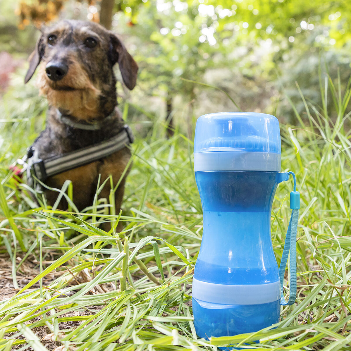 Innovagoods 2-In-1 Bottle With Water And Food Containers For Pets Pettap Innovagoods