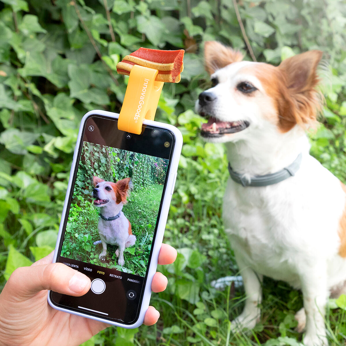 Innovagoods Selfie Clip For Pets Pefie Innovagoods