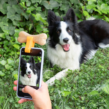 Innovagoods Selfie Clip For Pets Pefie Innovagoods
