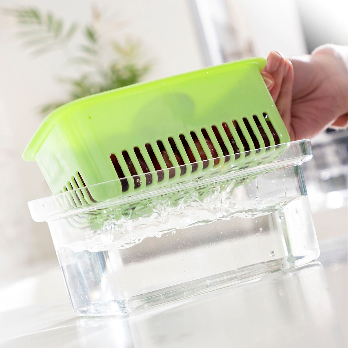 Innovagoods Food Preservation Container Prefo Innovagoods