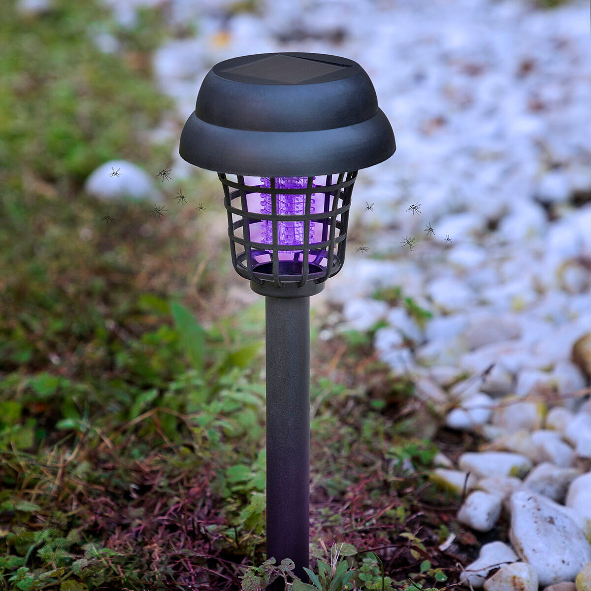 Innovagoods Mosquito-Killing Solar Garden Lamp Garlam Innovagoods