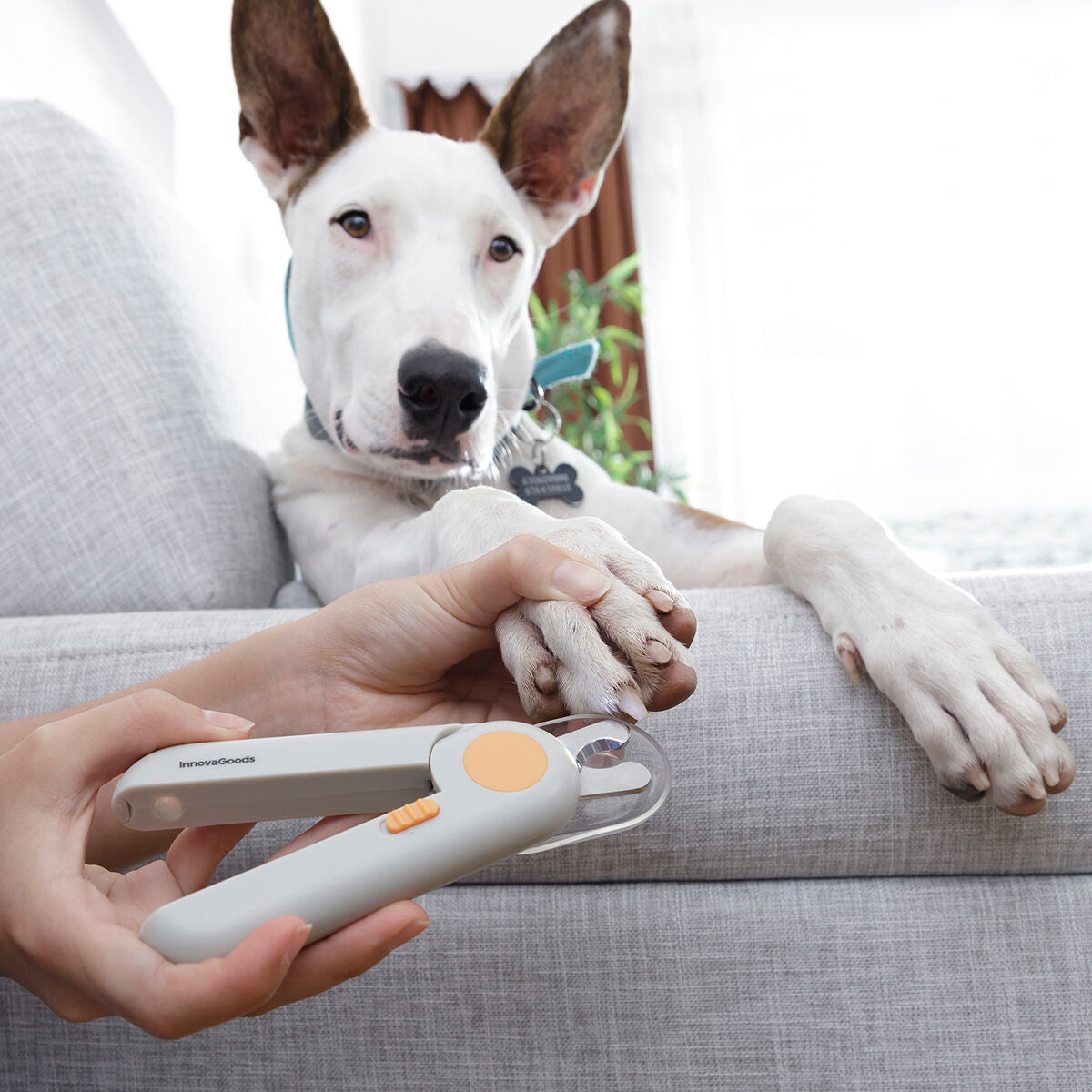 Innovagoods Pet Nail Clippers With Led Clipet Innovagoods