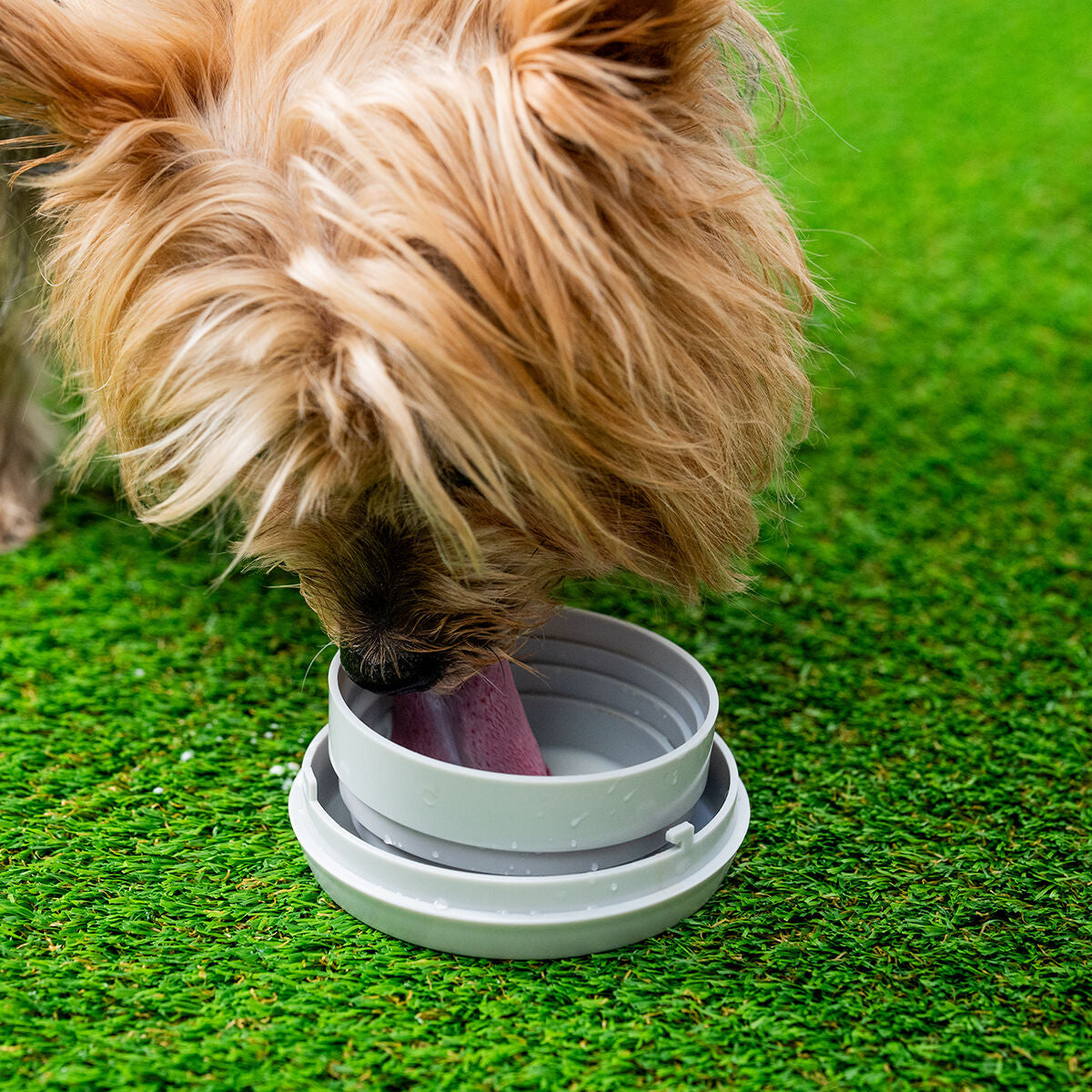 Innovagoods 6-In-1 Retractable Dog Leash Leashic Innovagoods